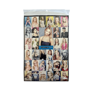 Britney Spears Sticker Sheet