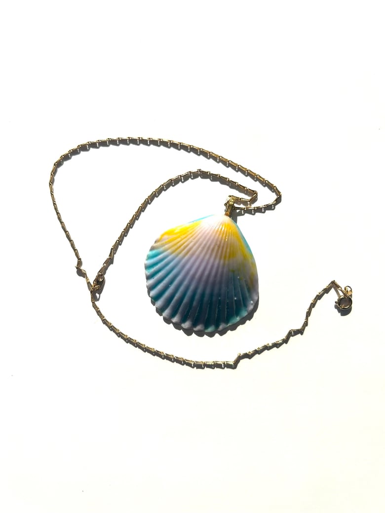 Image of Found Shell Pink and Blue