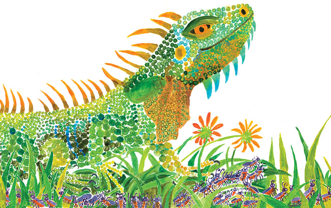 Iguana Giclée Print