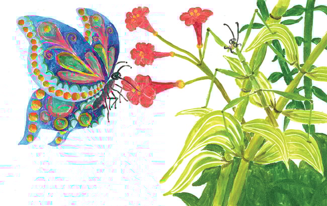 Butterfly and Stick Insect Giclée Print