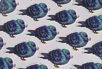 Image 2 of Pride Pigeon