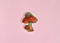 Image 1 of Mushroom Snail
