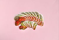 Image 2 of Mushroom Snail