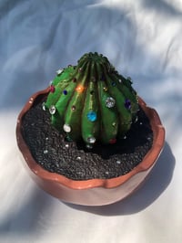 ♡ Crystal Cactus ♡
