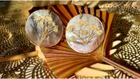 Image 3 of Baby's Breath on Capiz Shells