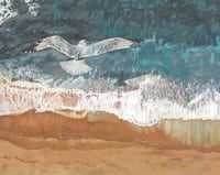 "Gull's Eye View" - Prints