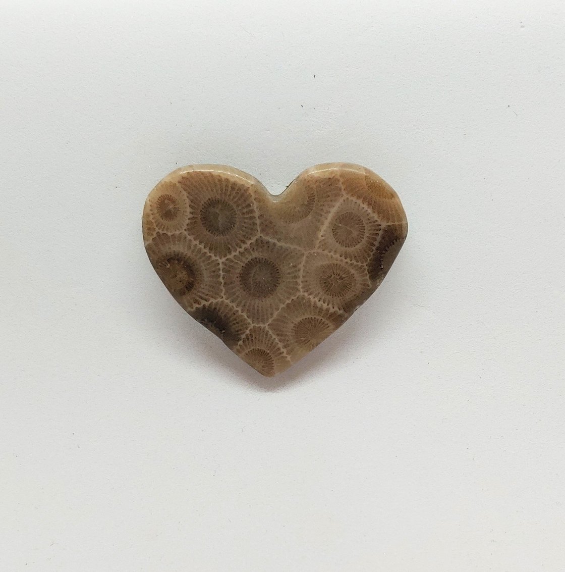 Image of Petoskey Stone Magnetic Pin # 23-669