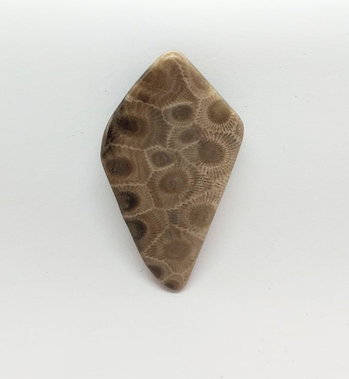 Image of Petoskey Stone Magnetic Pin  #23-671