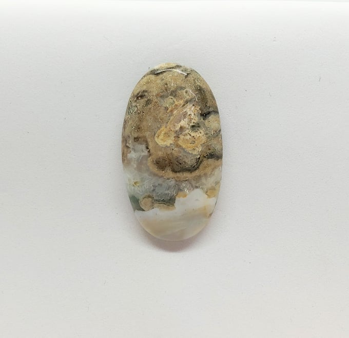 Image of Ocean Jasper #23-683