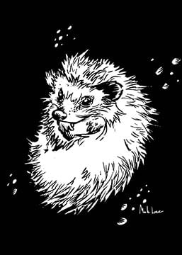 Image of Inked Hedgehog trading card 