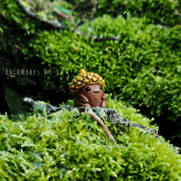 Image 1 of Acorn Baby.
