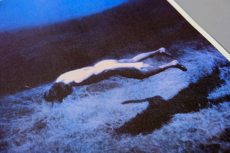 ZLATIMIR ARAKLIEV Image 2