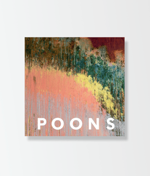 Larry Poons - Monograph 