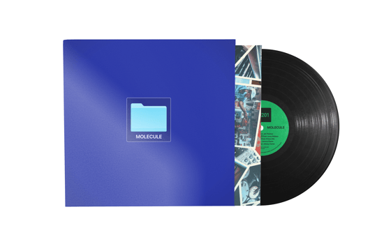 Image of RE-201 - VINYLE EDITION