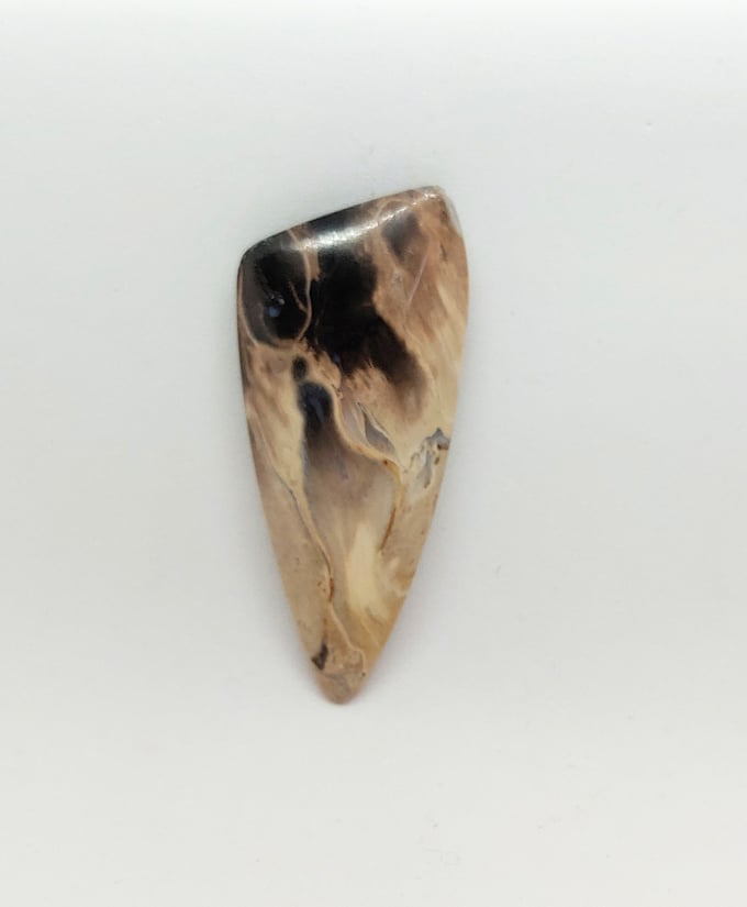 Image of Indonesian Palm Root Fossil Magnetic Pin #23-685