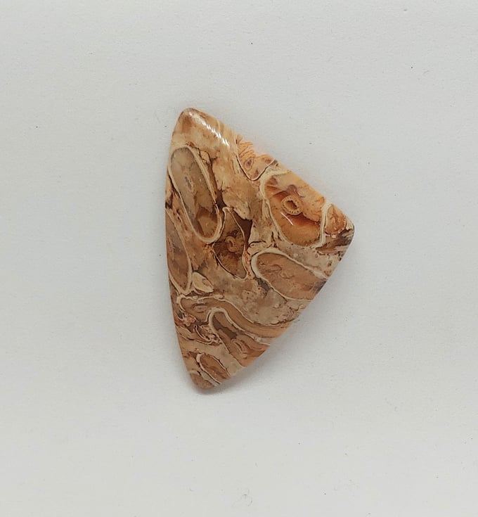 Image of Indonesian Palm Root Fossil #23-686
