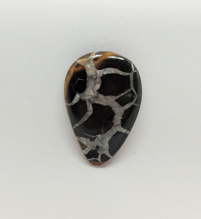 Image of Septarian #23-688