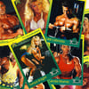 BODY BUILDERS TRADING CARDS - MUSCLES! - 1993