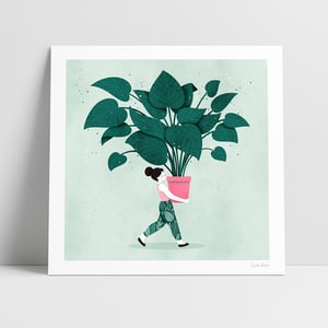 Plantas