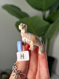 Image 8 of CHOOSE YOUR OWN MINI SOAPSTONE DINOSAURS