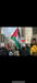 Image of Palestina Libre Sandía