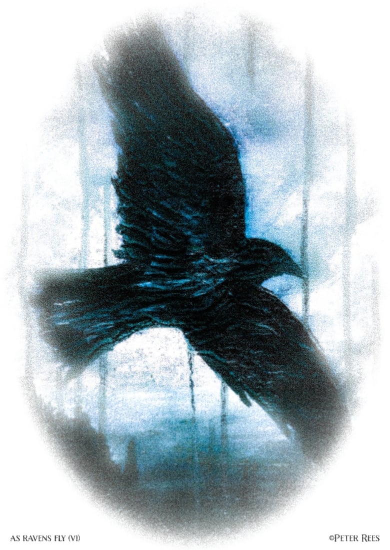Image of As Ravens Fly (VI) Limited edition A4 artprints 