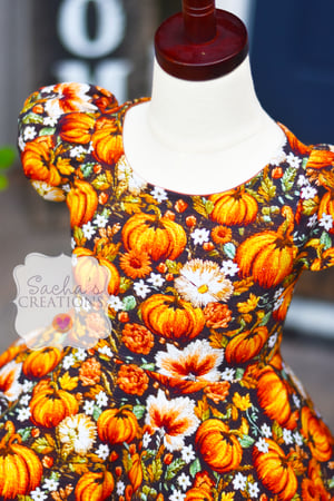 Image of Embroidery Pumpkin Twirl Dress 