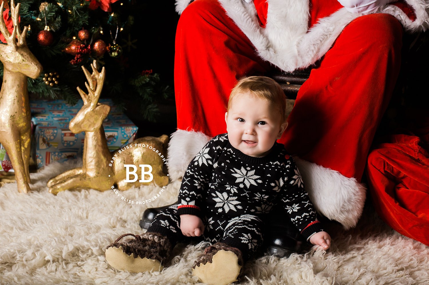 Image of MINI Portrait Session with Santa, Sunday October 20, 2024