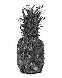 Image 1 of ANANAS