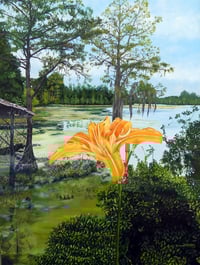 "Mill Pond Lily" - Prints