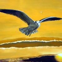 "Morning Star" - Prints