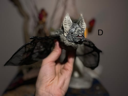 Image of Bat!