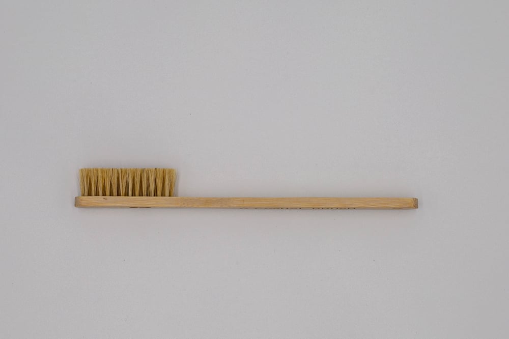 Image of A Casual Brush