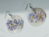 Image 5 of Larkspur on Capiz Shells