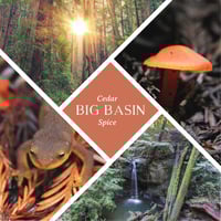 Image 2 of Recycled Glass - Juniper/Cypress Soy Wax Candle