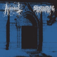 Image 1 of Anhedonist/Spectral Voice split EP