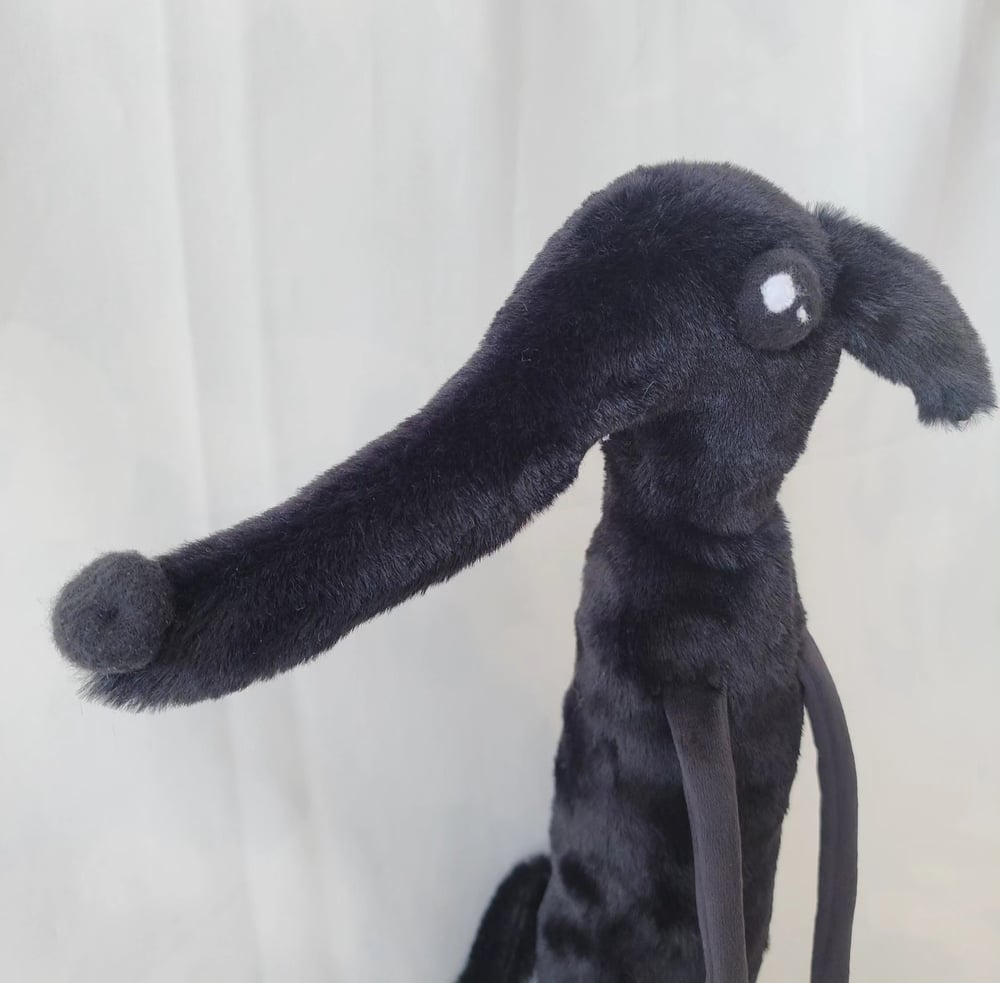 Image of Greyhound Grimm Black