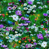 Image of Into the Meadow Shade 30cm
