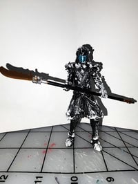 Image 1 of Frozen Palace Guard