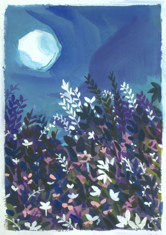 Image of Painting: Night Blooms
