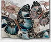 WT0002 - butterflies - wall tapestry