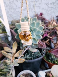 Last Chance - Small Car Diffuser (skull/round bottles)