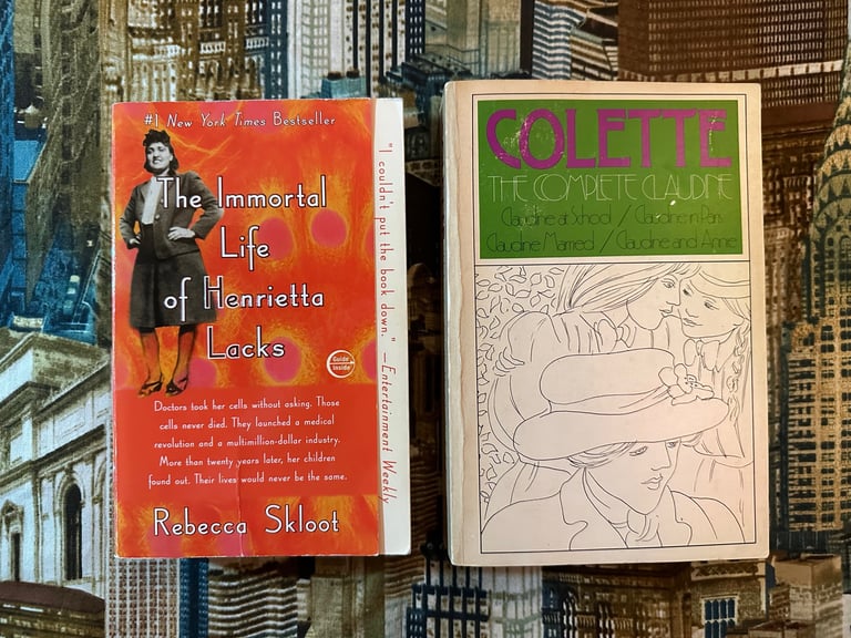 Book Bundle #1 Image 4