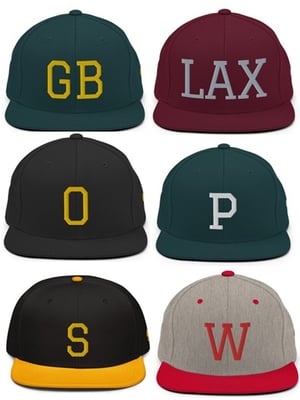 Wisco College Town Snapbacks