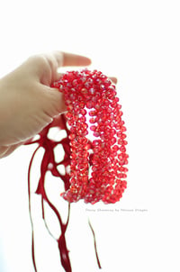 Image 2 of Ruby luxe headband (nb)