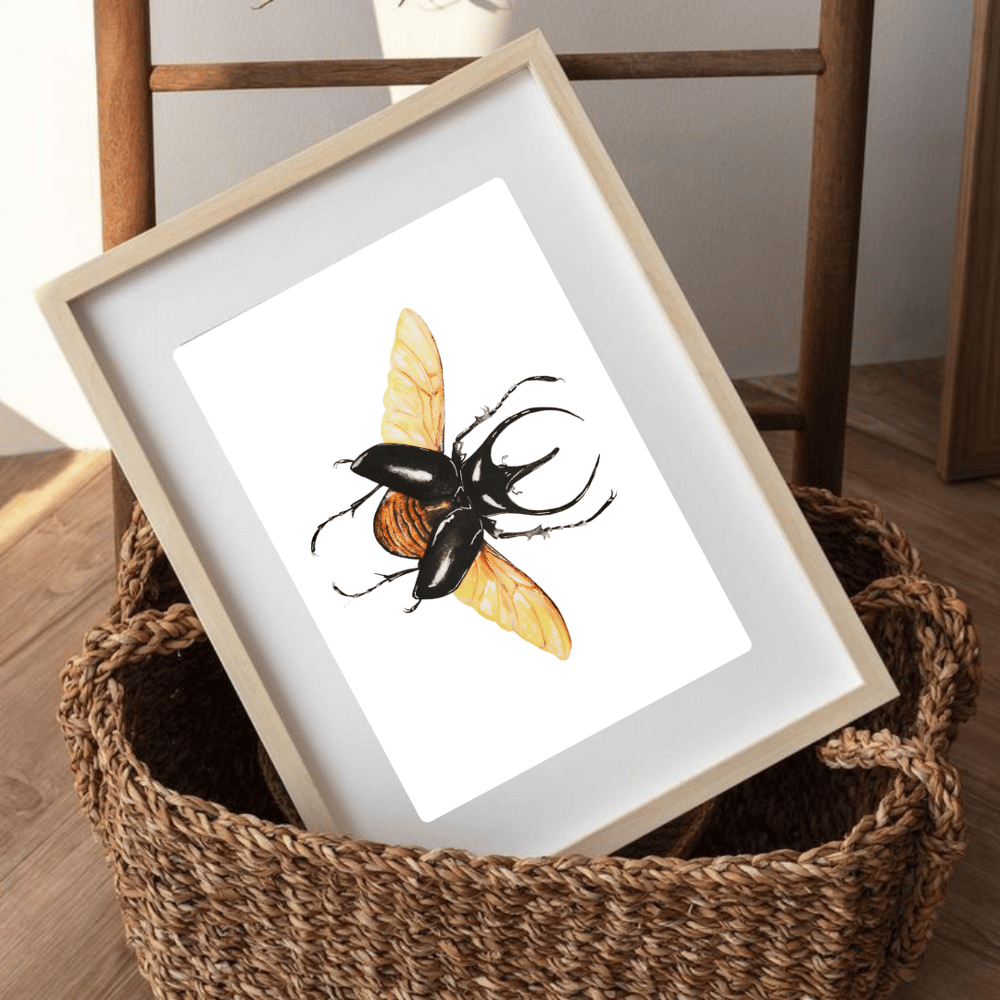 Image of Atlas Beetle Watercolor Illustration PRINT 