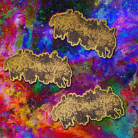 Teratoma Woven Patch