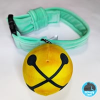 Image 1 of Light green bell collar