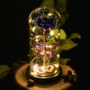 Galaxy rose