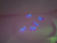 Image 5 of UV bow charm 